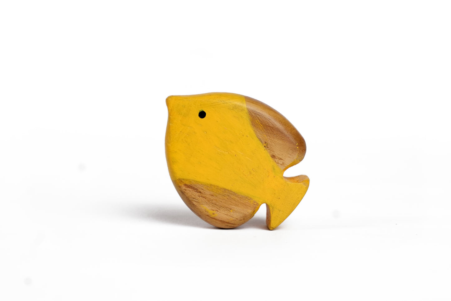 FIN THE FISH