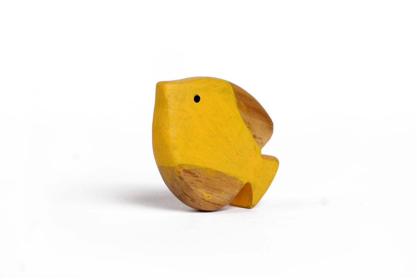 FIN THE FISH