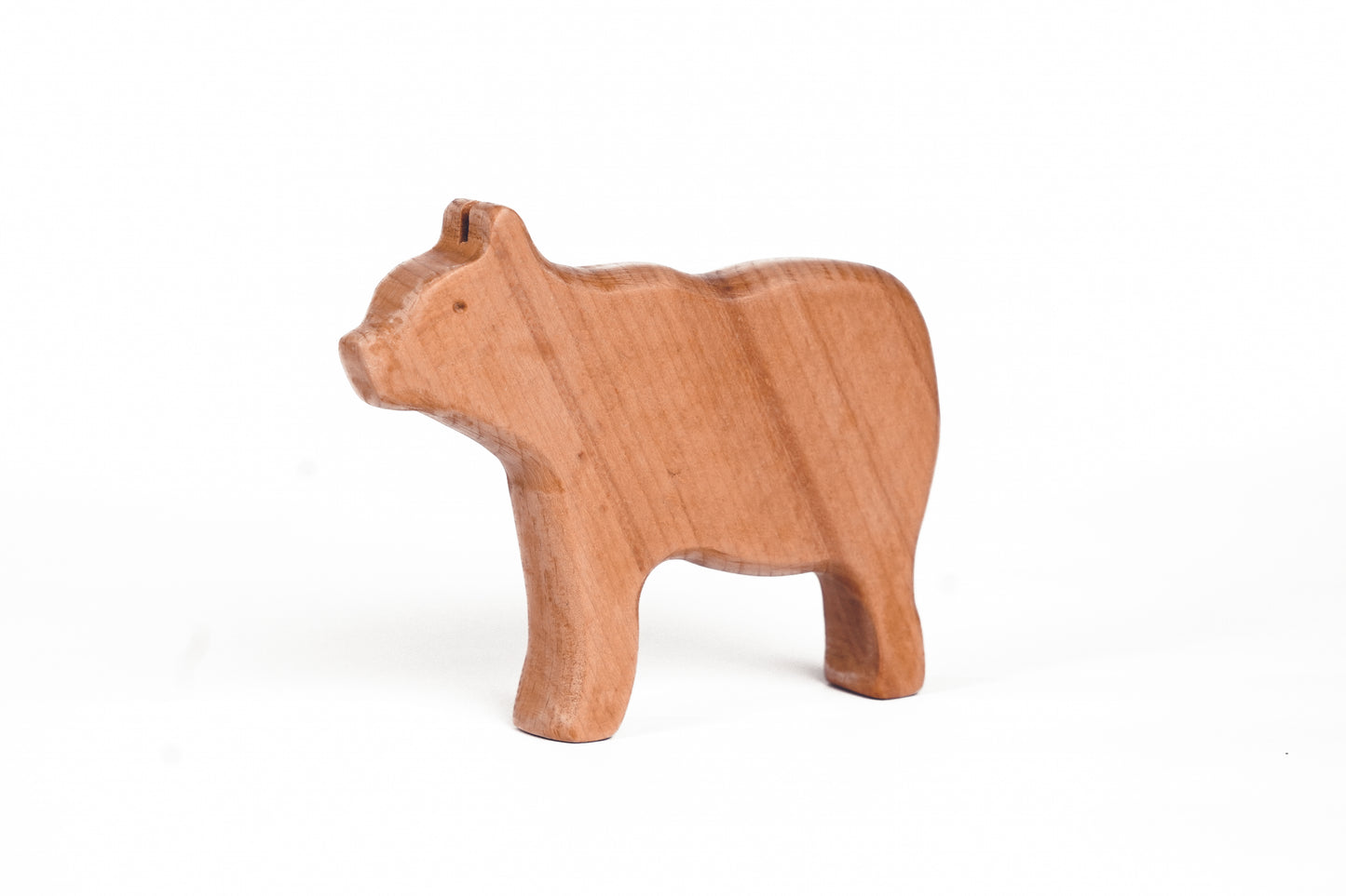 BROWNY THE BEAR