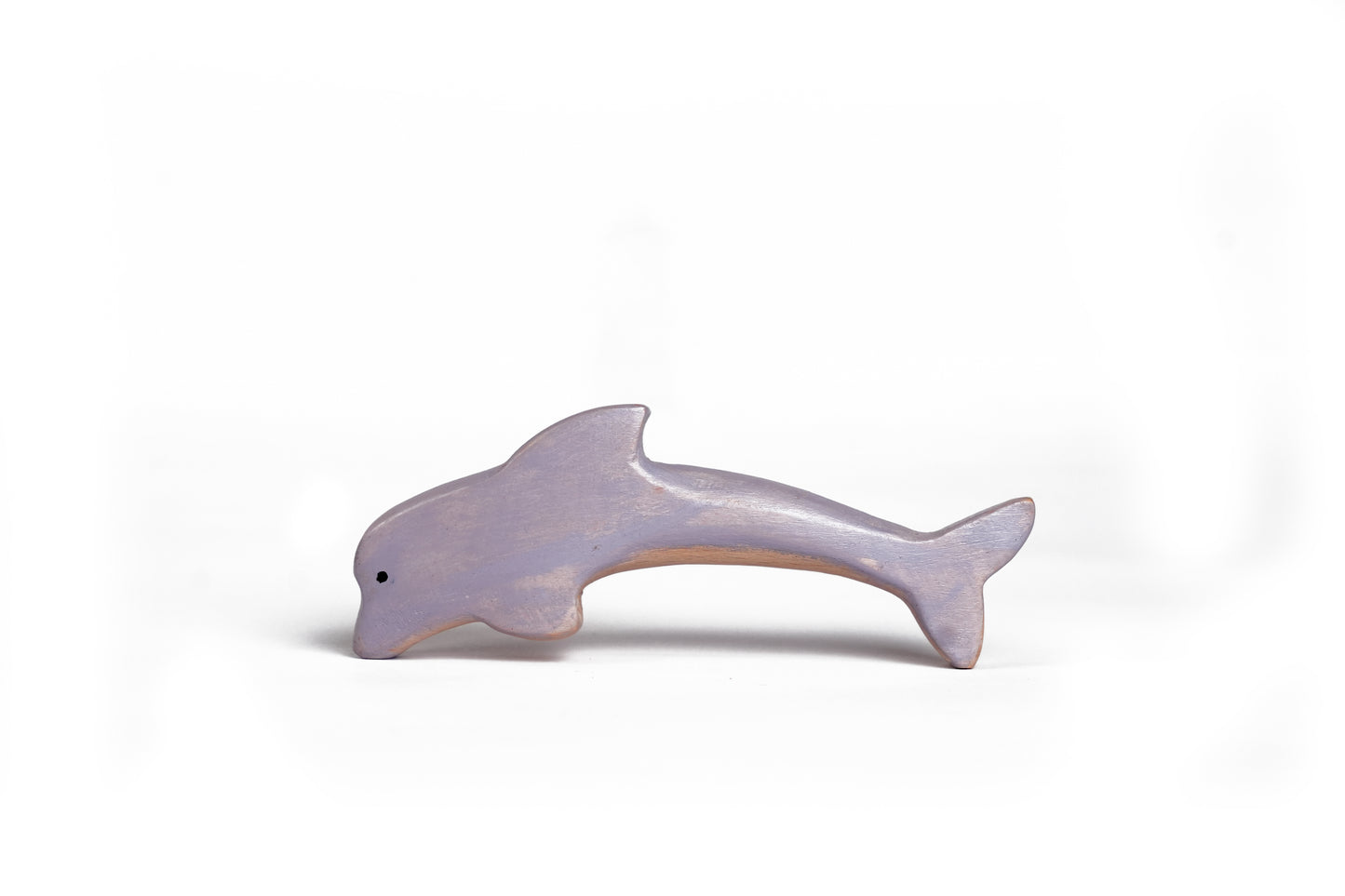 JUMPER THE DOLPHIN