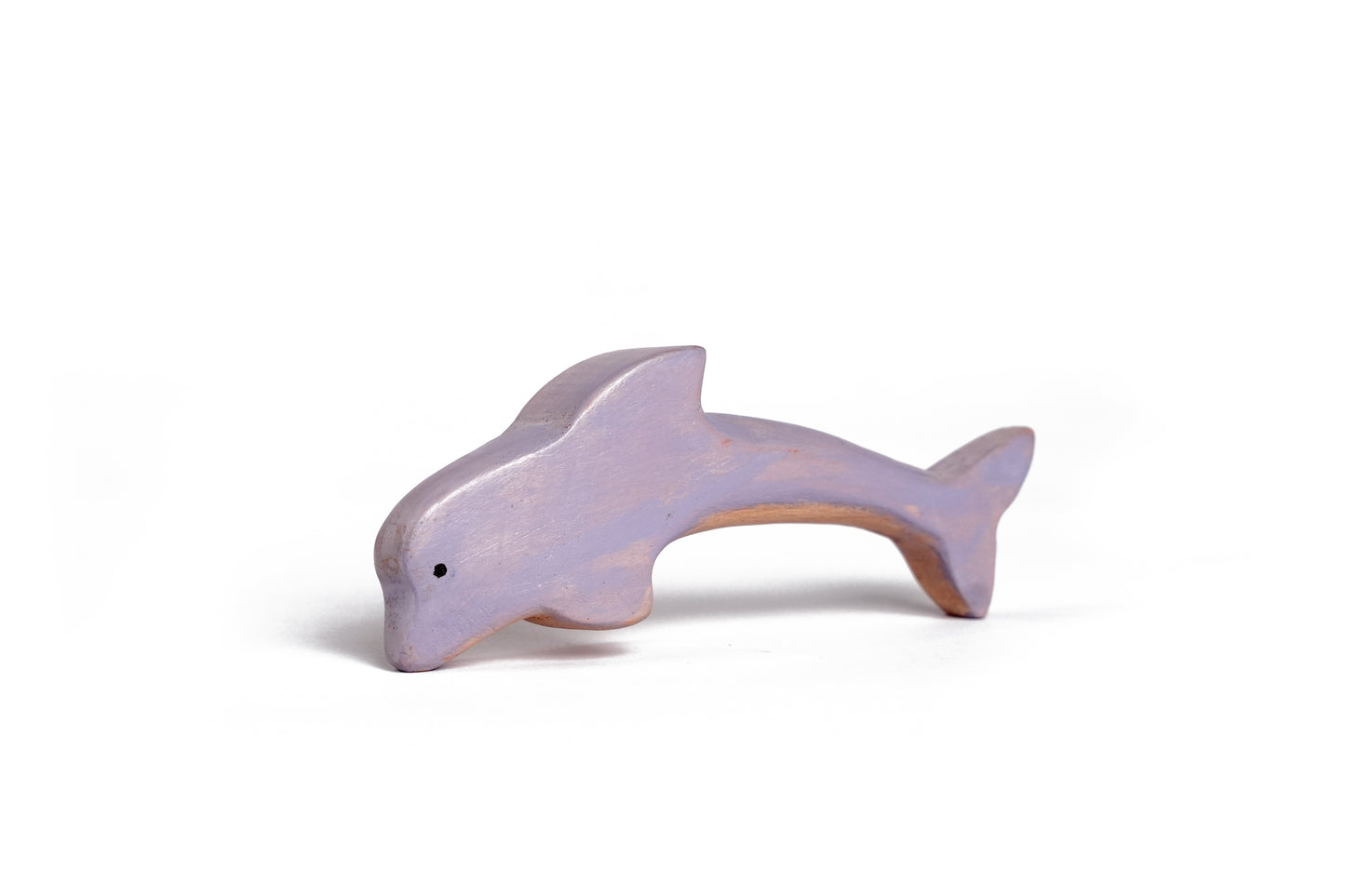 JUMPER THE DOLPHIN