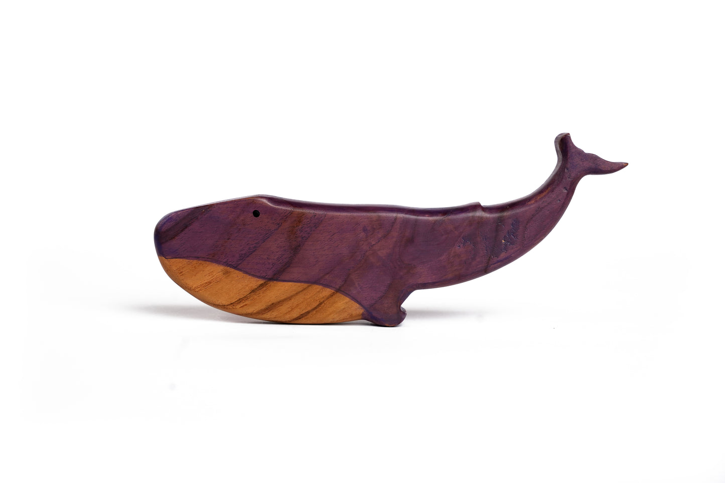 RILEY THE WHALE