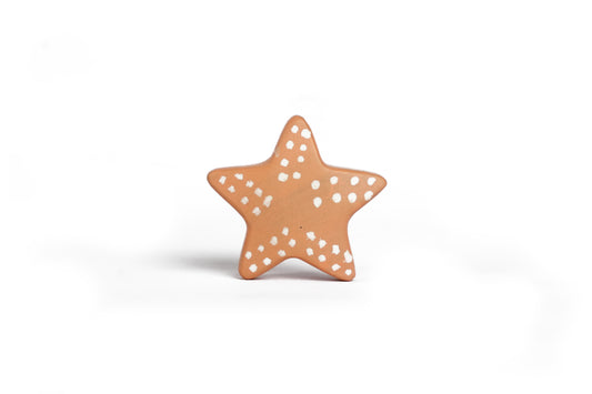 SAL THE SEA STAR
