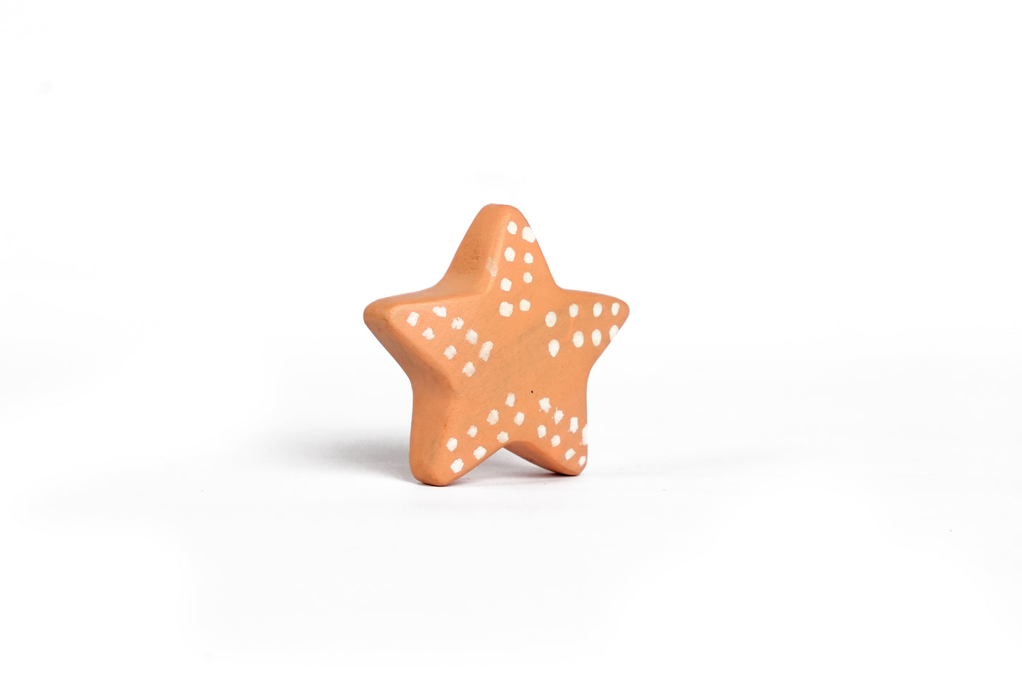 SAL THE SEA STAR