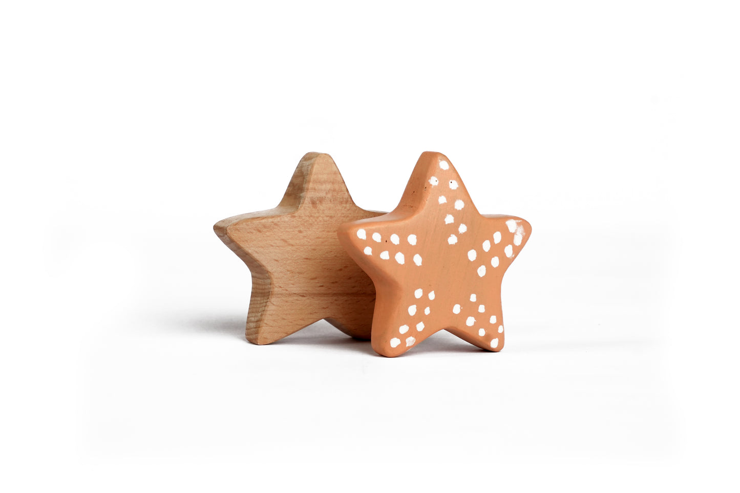 SAL THE SEA STAR