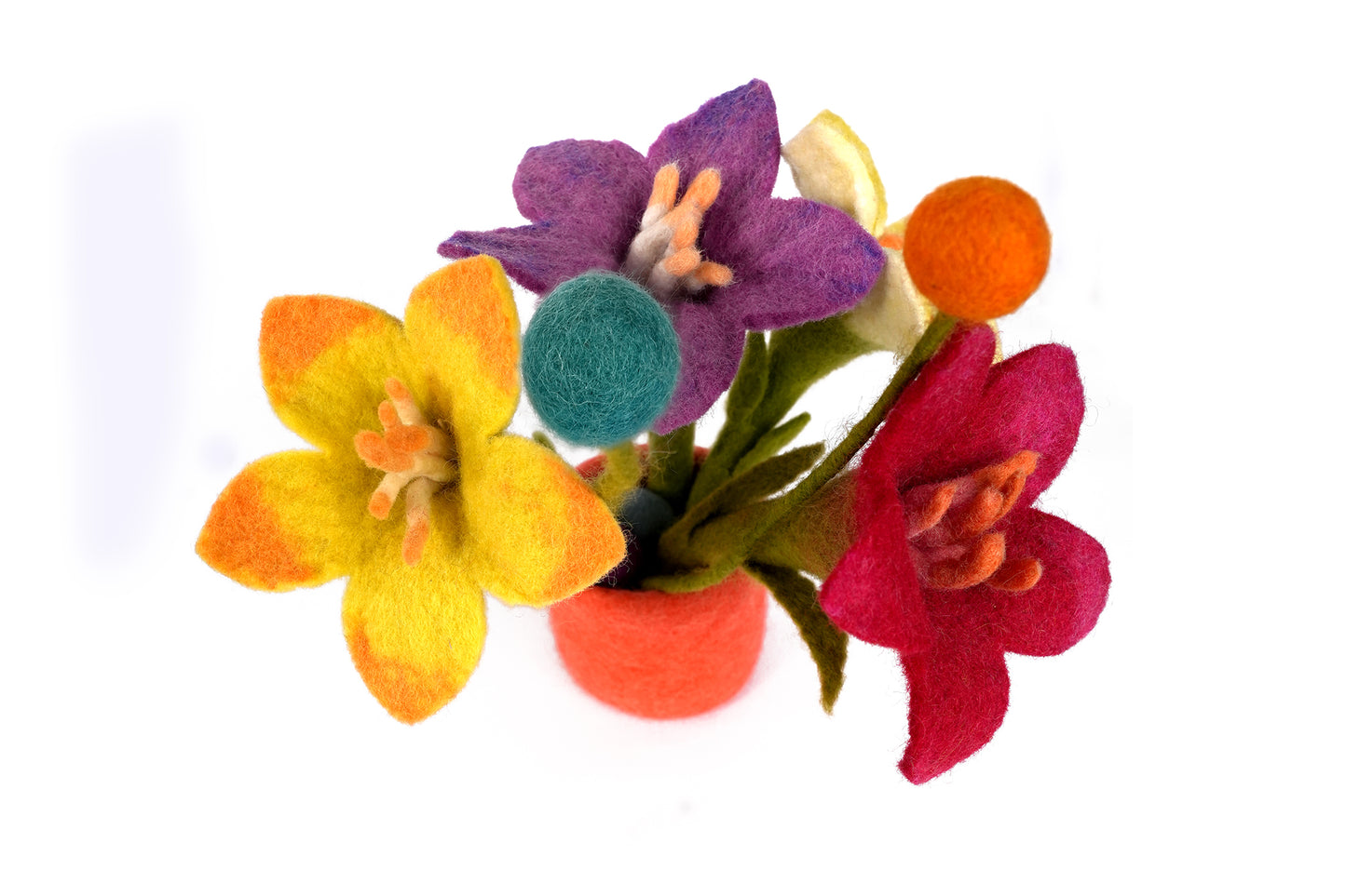 BLOOMS & BUDS